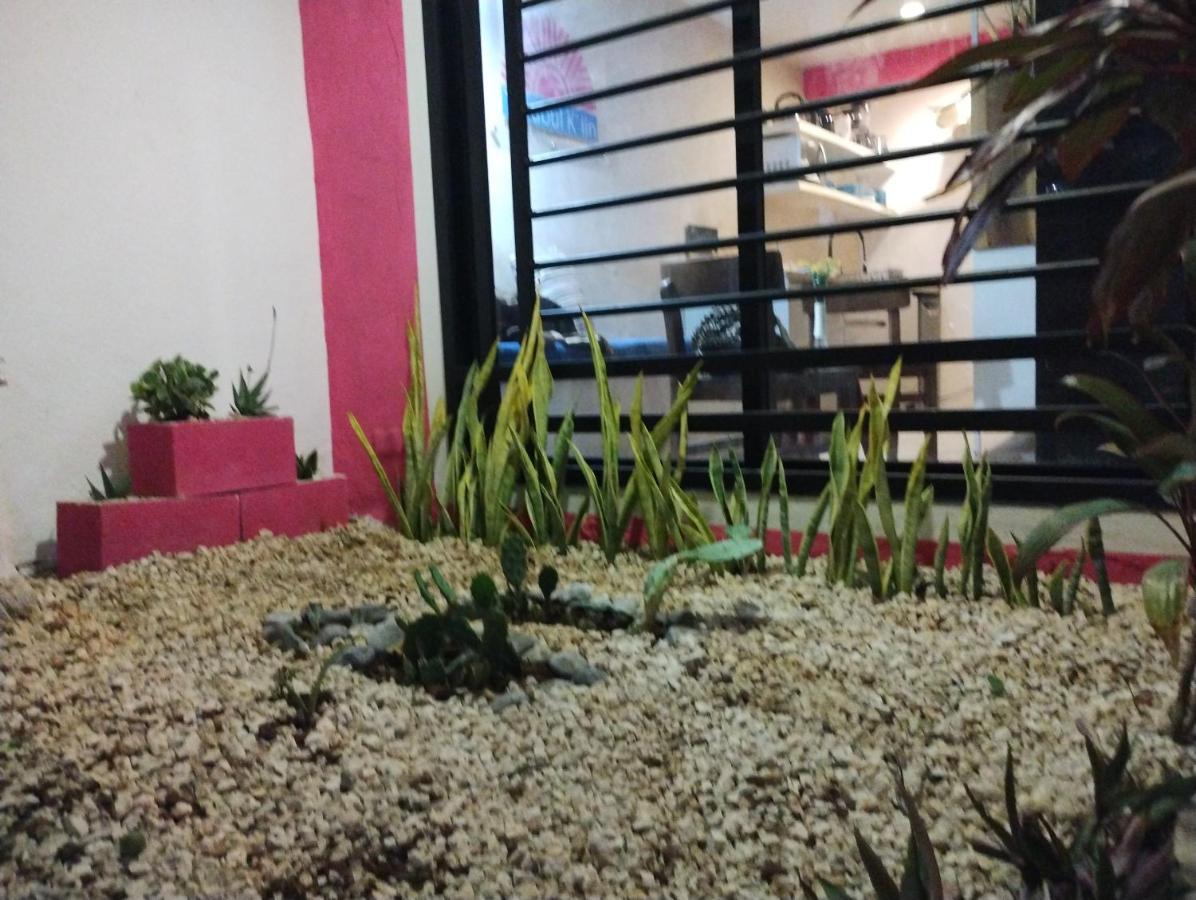 T'Uubul K'Iin Bed & Breakfast Mérida Εξωτερικό φωτογραφία